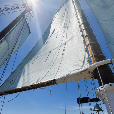 Tall ship sail and mast with sunlight, city skyline in the background.