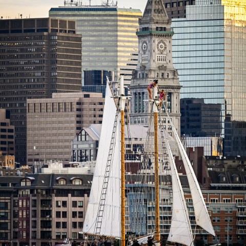 Sailboat with Red Bull logo on water, city skyline with clock tower in background.