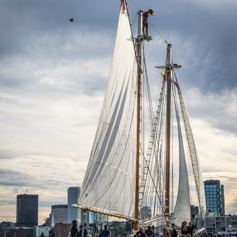 Sailing ship with people aboard and one person atop the mast, city skyline in background.