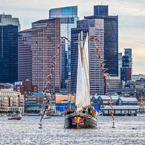 Diver leaps from tall ship in front of city skyline, creating an arced sequence over water.