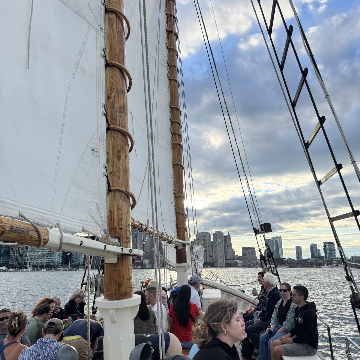 People sitting on a sailboat with city skyline in the background, under cloudy sky.