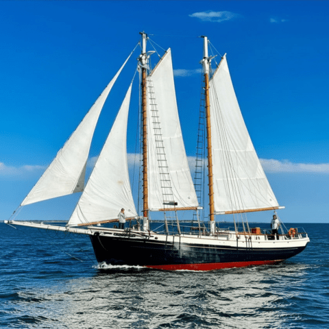Sailboat with white sails on calm blue water, clear sky.